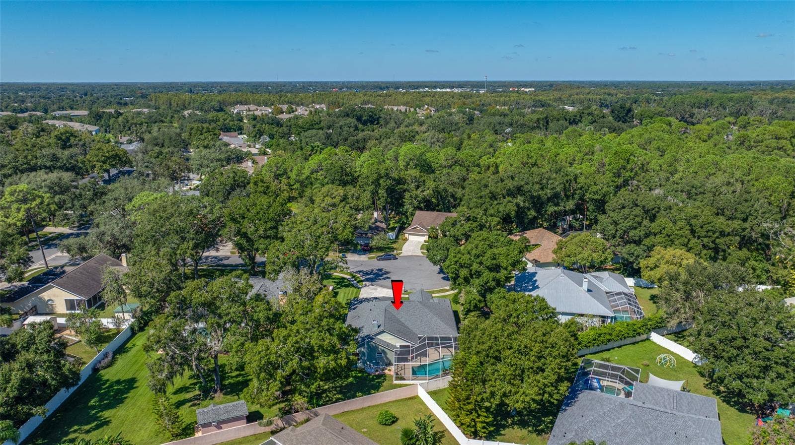 1648 WOODRIDGE COURT, Lutz, FL 33559 1648 WOODRIDGE COURT, Lutz, FL 33559