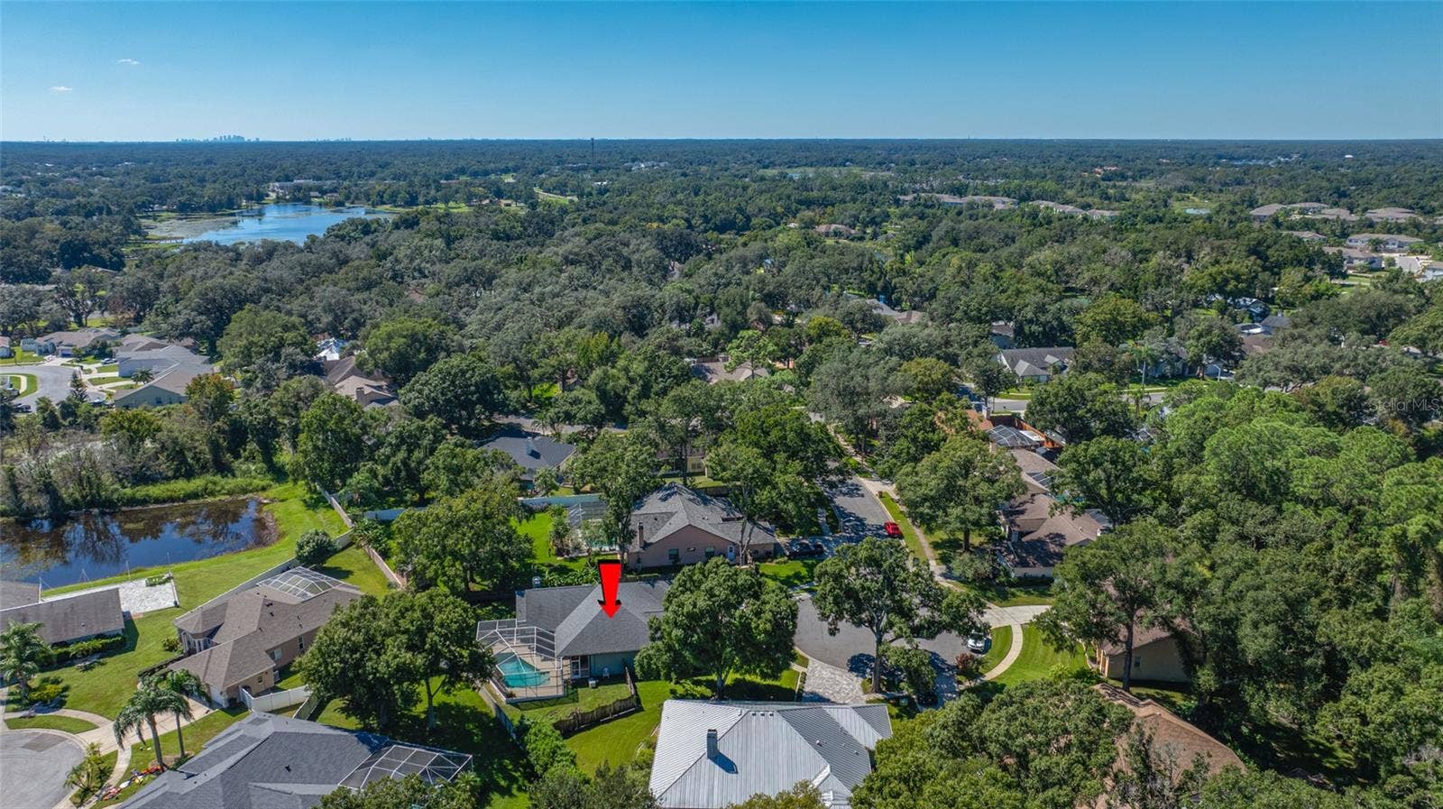 1648 WOODRIDGE COURT, Lutz, FL 33559 1648 WOODRIDGE COURT, Lutz, FL 33559