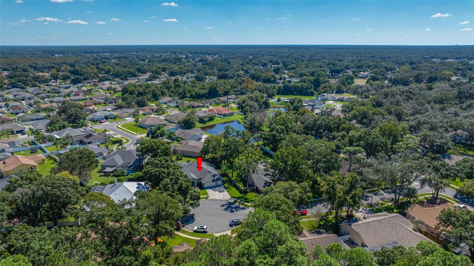 1648 WOODRIDGE COURT, Lutz, FL 33559 1648 WOODRIDGE COURT, Lutz, FL 33559
