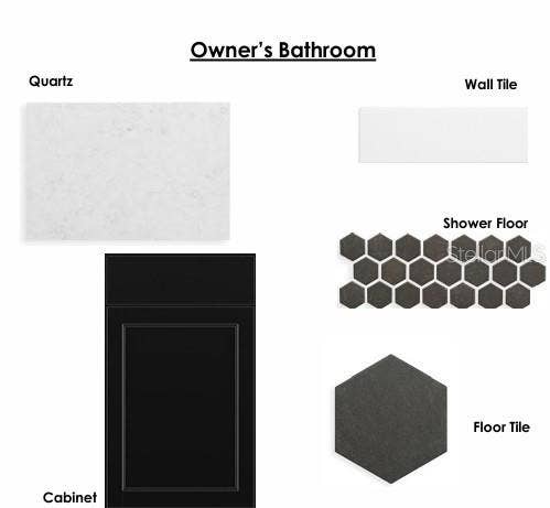 6366 ROVER WAY, St Cloud, FL 34771 Interior Design Selections