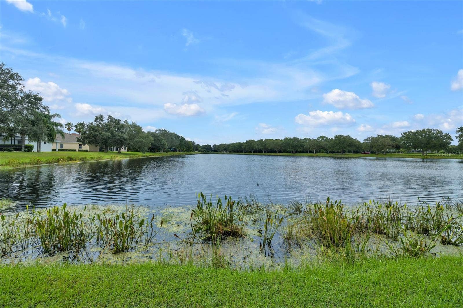 12639 CARA CARA LOOP, Bradenton, FL 34212 12639 CARA CARA LOOP, Bradenton, FL 34212
