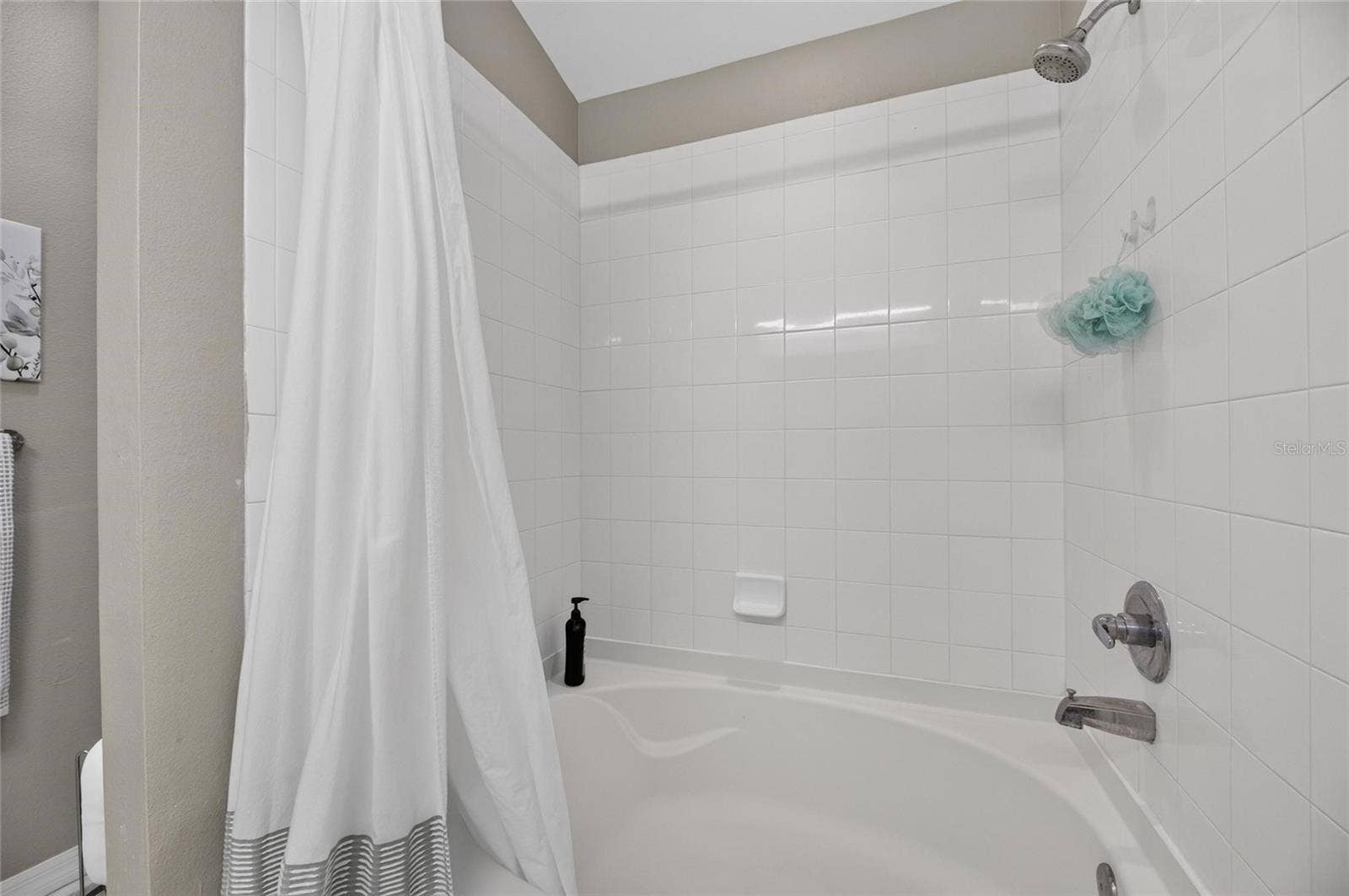 11517 CRESTLAKE VILLAGE DRIVE, Riverview, FL 33569 11517 CRESTLAKE VILLAGE DRIVE, Riverview, FL 33569