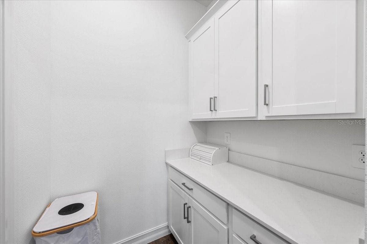 12421 BERGSTROM BAY DRIVE, Riverview, FL 33579 12421 BERGSTROM BAY DRIVE, Riverview, FL 33579
