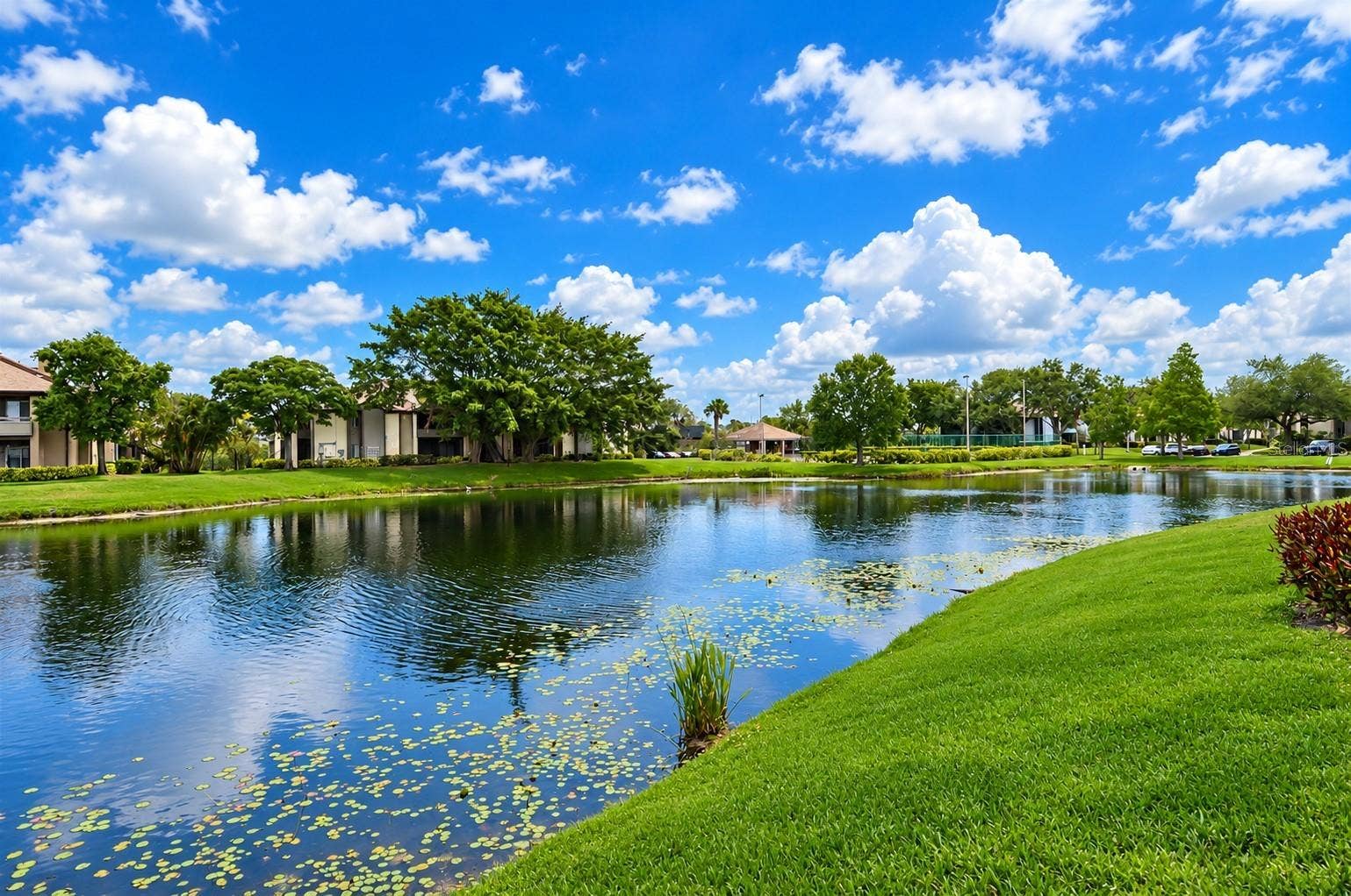 10265 GANDY BOULEVARD N, #1707, St Petersburg, FL 33702 10265 GANDY BOULEVARD N, #1707, St Petersburg, FL 33702