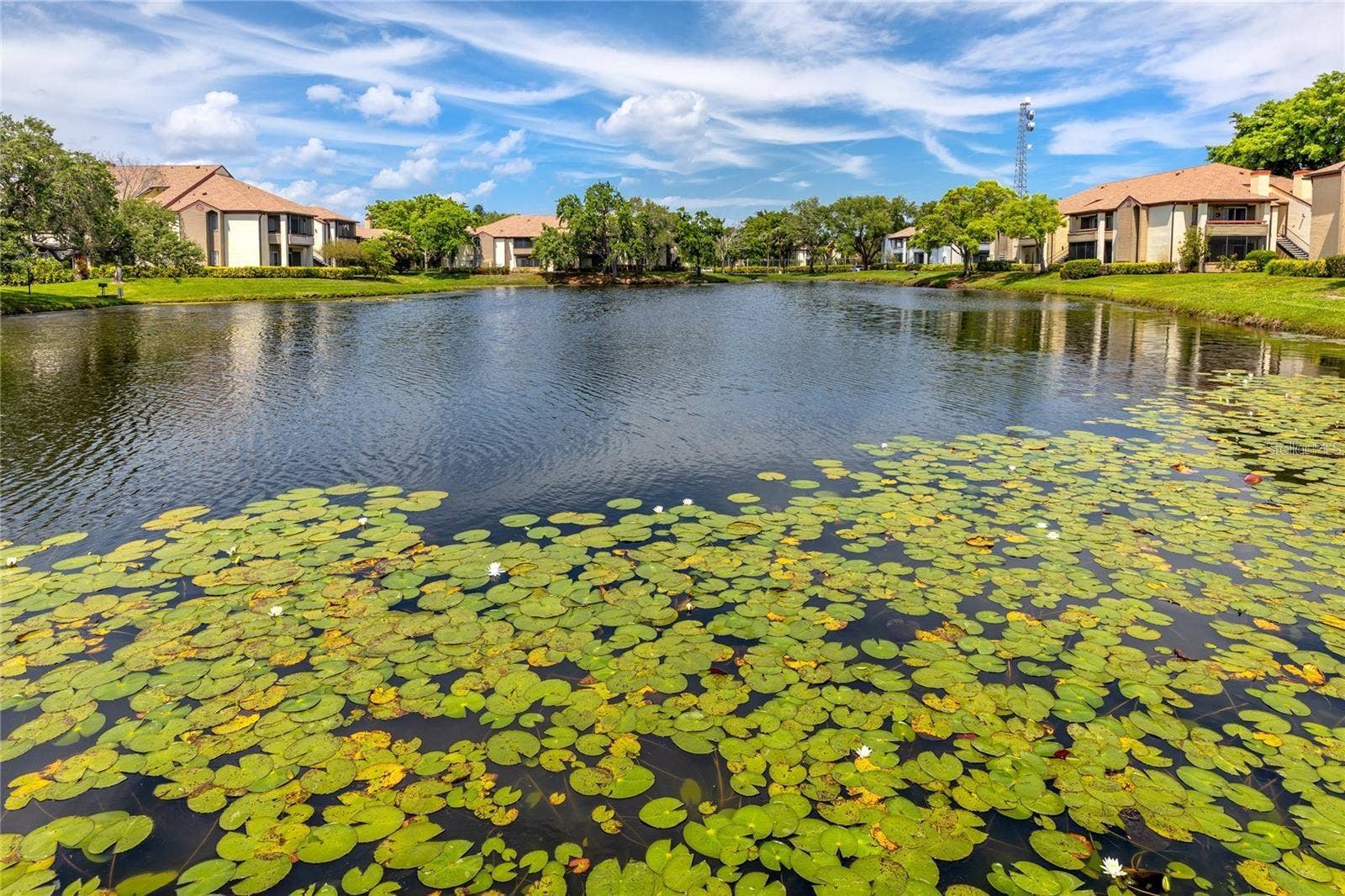10265 GANDY BOULEVARD N, #1707, St Petersburg, FL 33702 10265 GANDY BOULEVARD N, #1707, St Petersburg, FL 33702