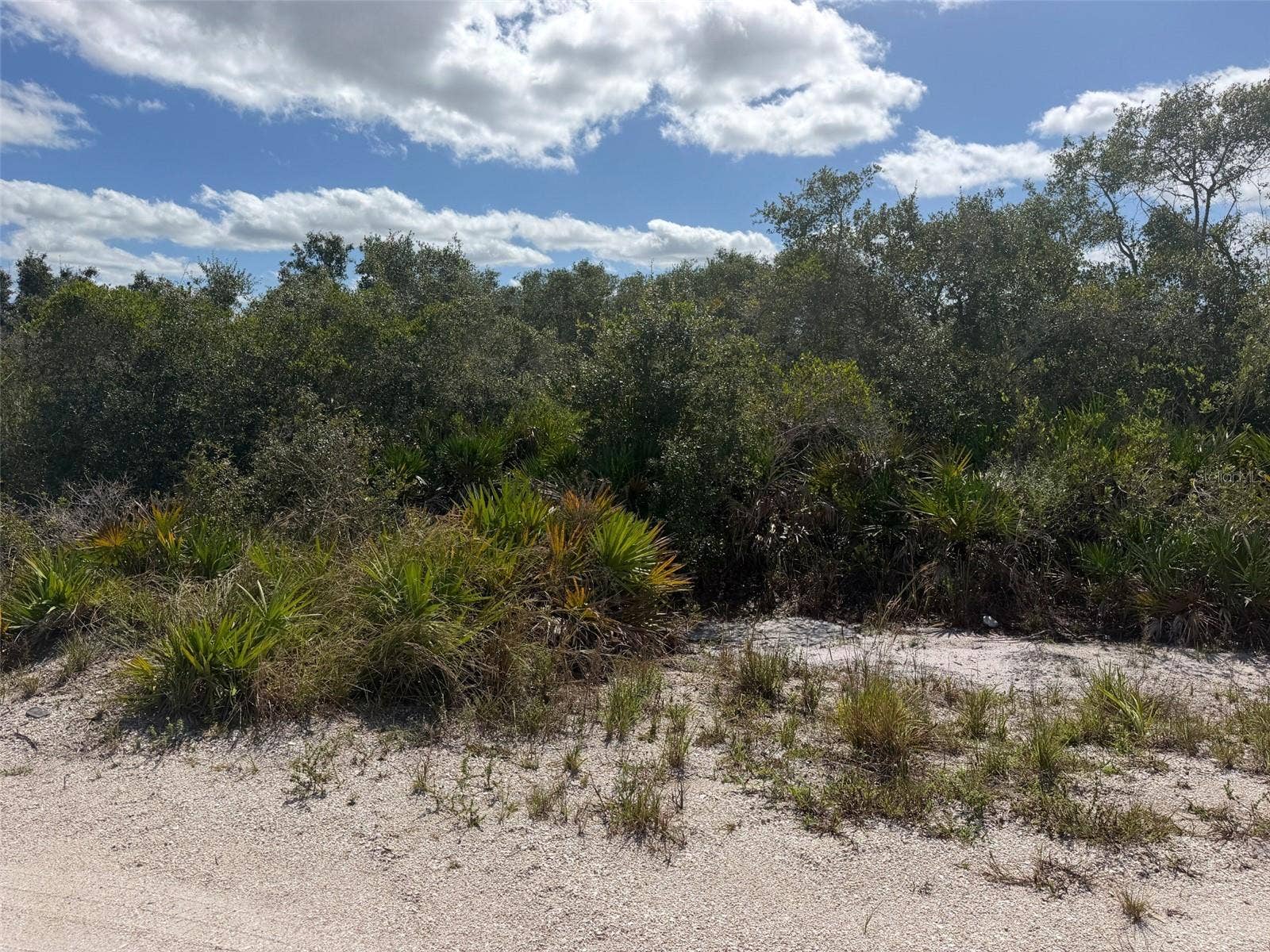 3205 HACIENDA DRIVE, Lorida, FL 33857