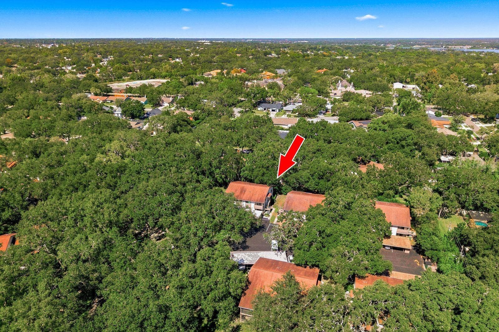 515 MISTLETOE COURT, #B, Safety Harbor, FL 34695
