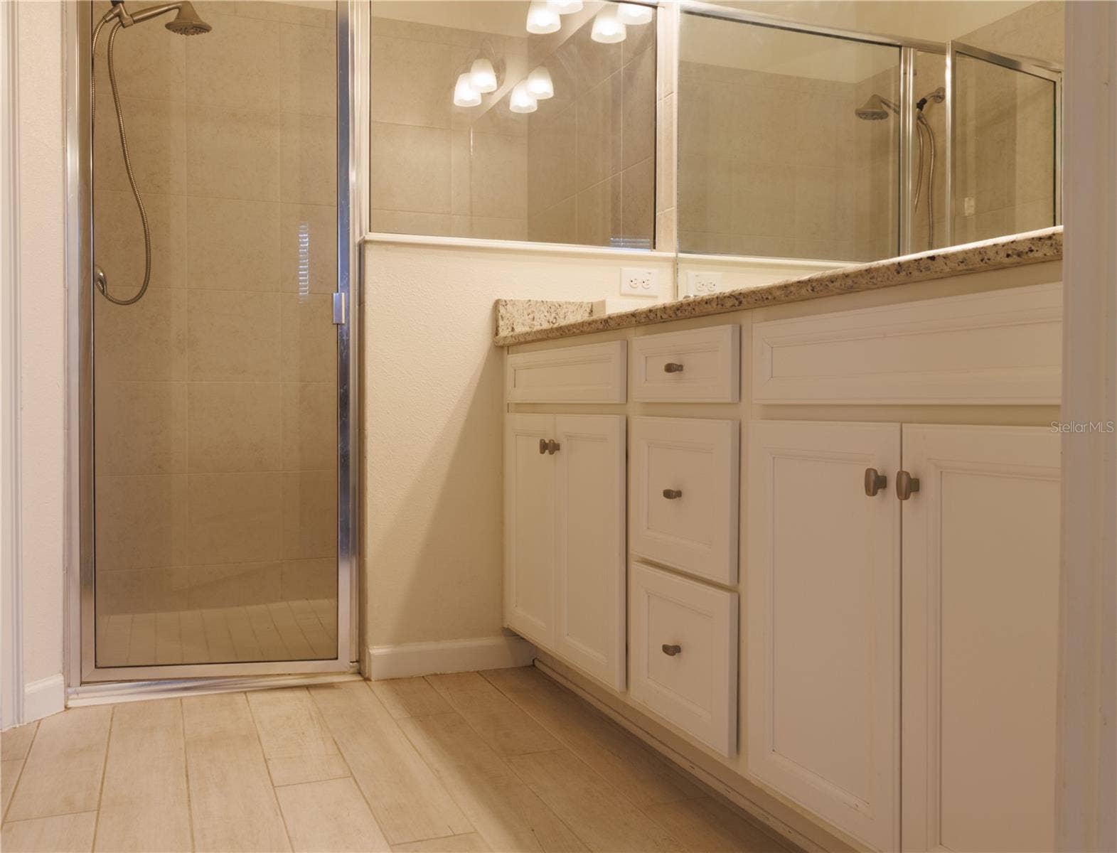 1011 BETTER DAYS PLACE, Valrico, FL 33594 Master Bath