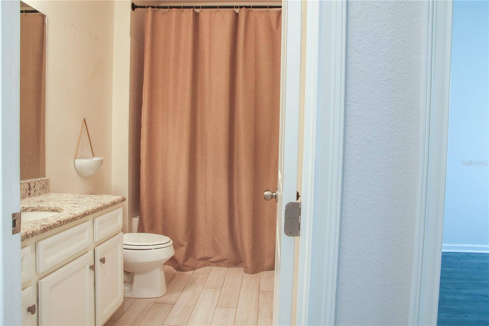 1011 BETTER DAYS PLACE, Valrico, FL 33594 Guest Bath