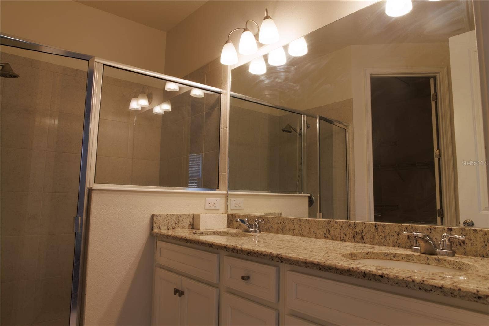 1011 BETTER DAYS PLACE, Valrico, FL 33594 Master Bath