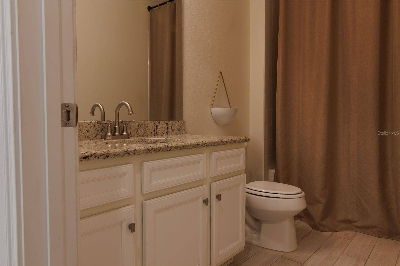1011 BETTER DAYS PLACE, Valrico, FL 33594 Guest bath