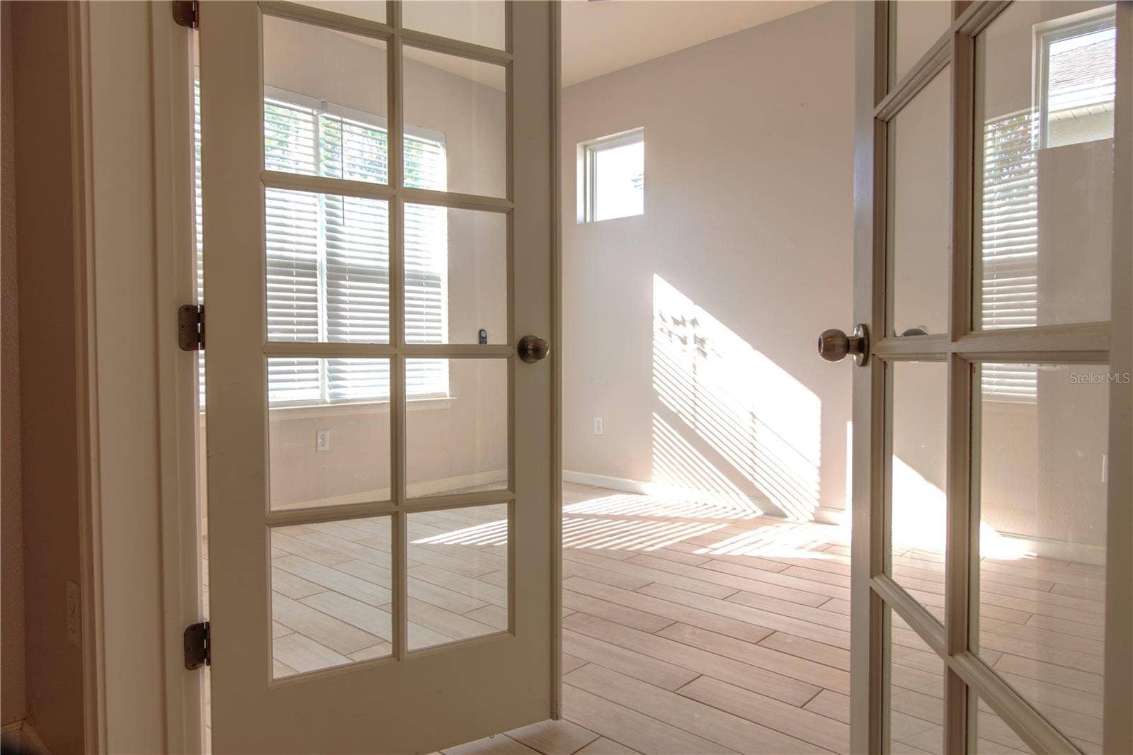 1011 BETTER DAYS PLACE, Valrico, FL 33594 Flex room / den