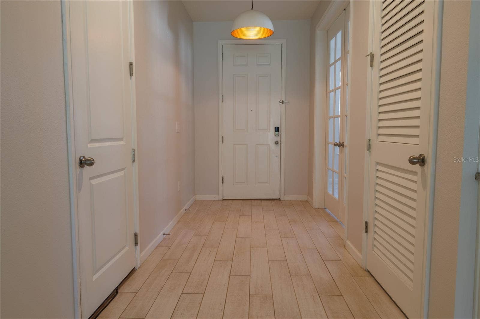 1011 BETTER DAYS PLACE, Valrico, FL 33594 Entry Hallway