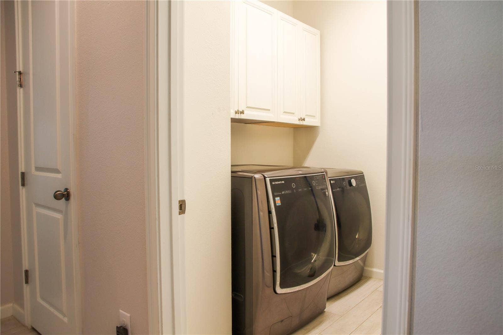 1011 BETTER DAYS PLACE, Valrico, FL 33594 Laundry Room with built in cabinets