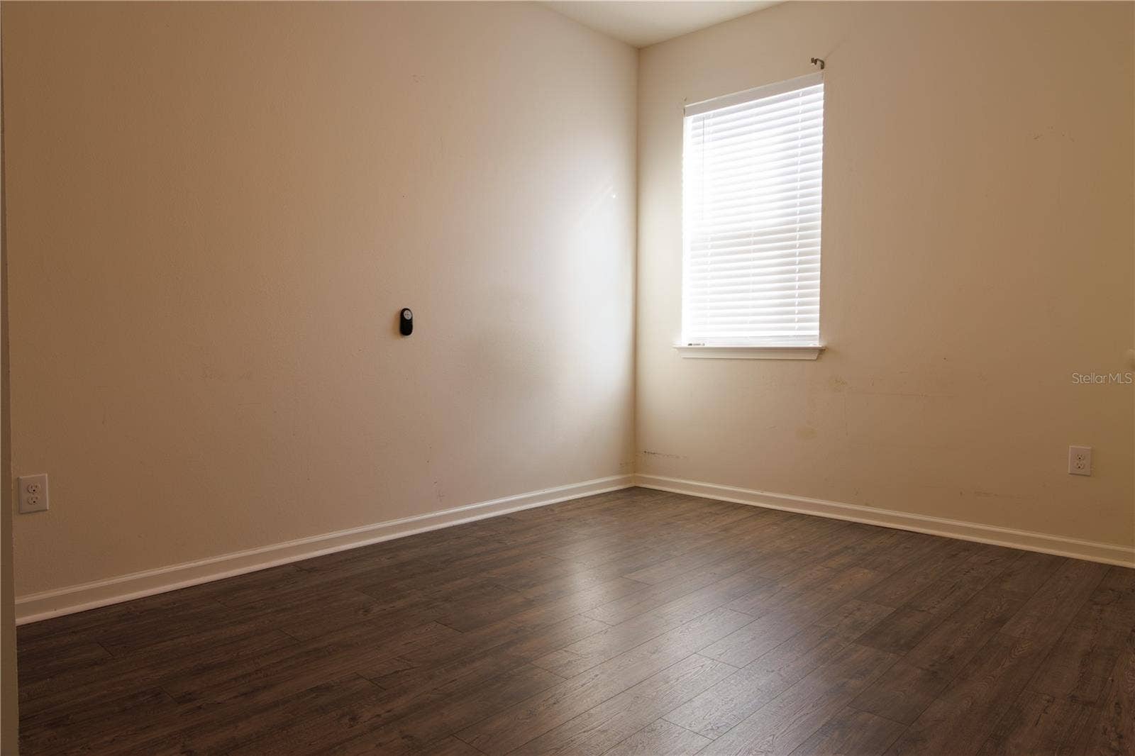 1011 BETTER DAYS PLACE, Valrico, FL 33594 Bedroom 2