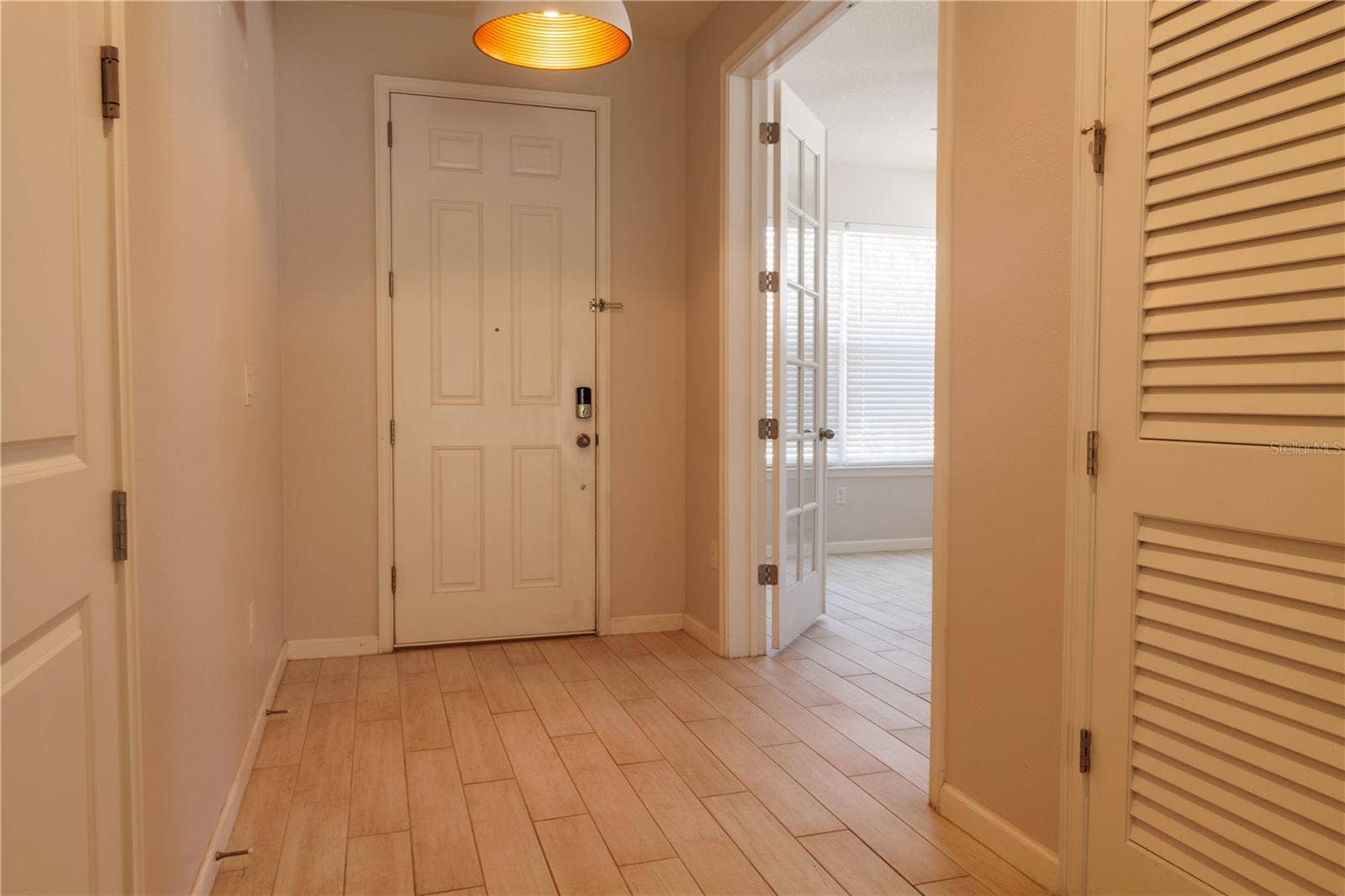 1011 BETTER DAYS PLACE, Valrico, FL 33594 Entry Hallway