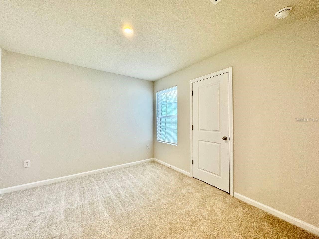 12077 GRIZZLY LANE, New Port Richey, FL 34654 12077 GRIZZLY LANE, New Port Richey, FL 34654
