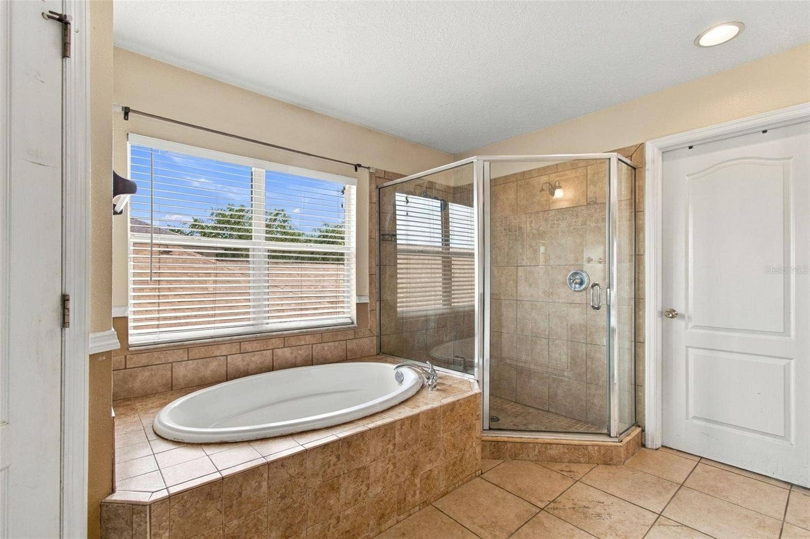 19025 FISHERMANS BEND DRIVE, Lutz, FL 33558