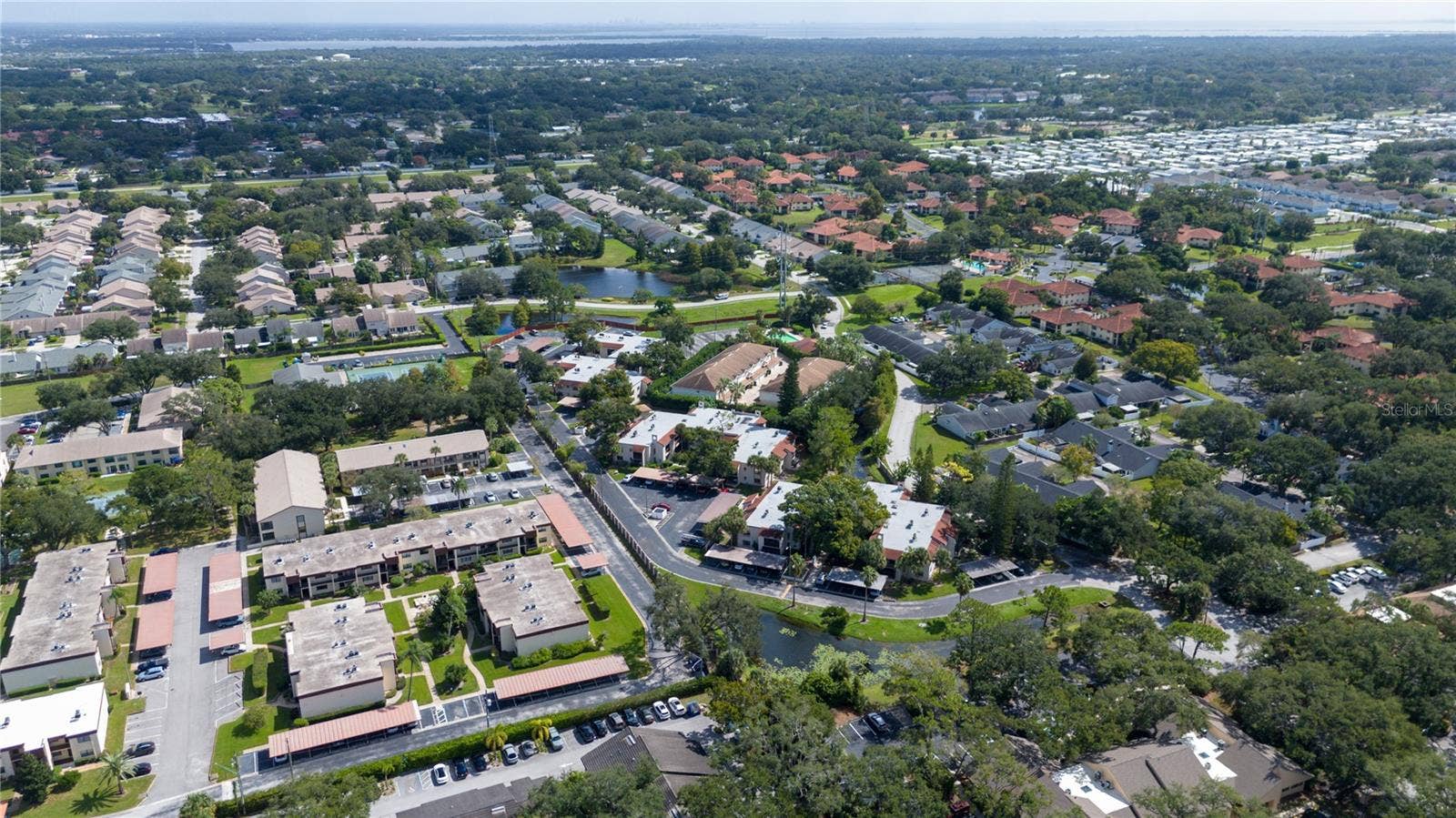 2971 ESTANCIA BOULEVARD, #319, Clearwater, FL 33761 2971 ESTANCIA BOULEVARD, #319, Clearwater, FL 33761