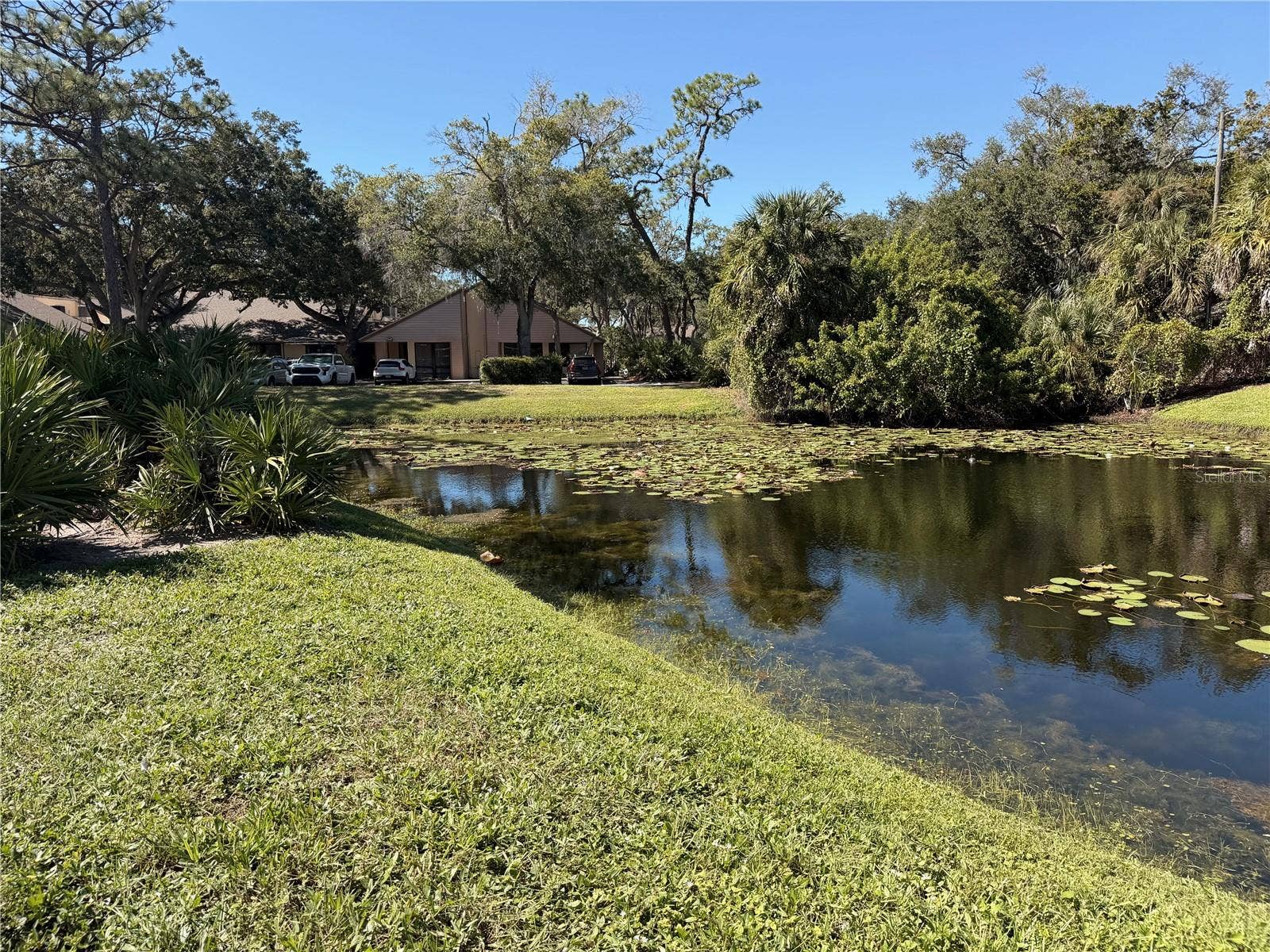2971 ESTANCIA BOULEVARD, #319, Clearwater, FL 33761 2971 ESTANCIA BOULEVARD, #319, Clearwater, FL 33761