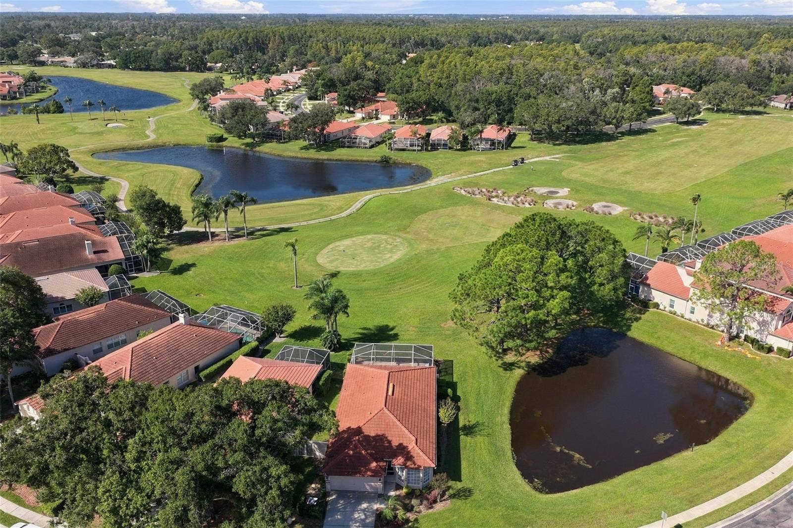 1194 DARTFORD DRIVE, Tarpon Springs, FL 34688 1194 DARTFORD DRIVE, Tarpon Springs, FL 34688