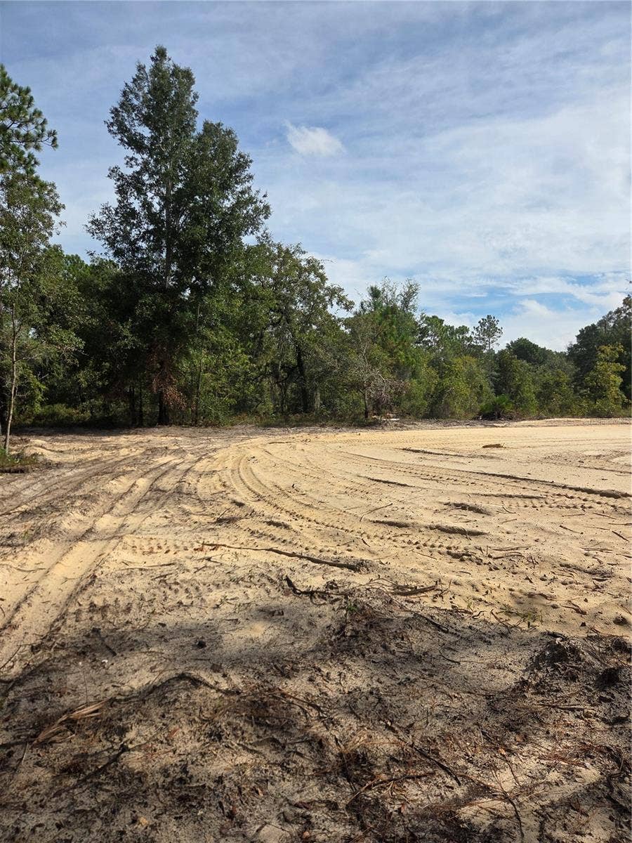 16147 SHELDRAKE LOOP, Weeki Wachee, FL 34614