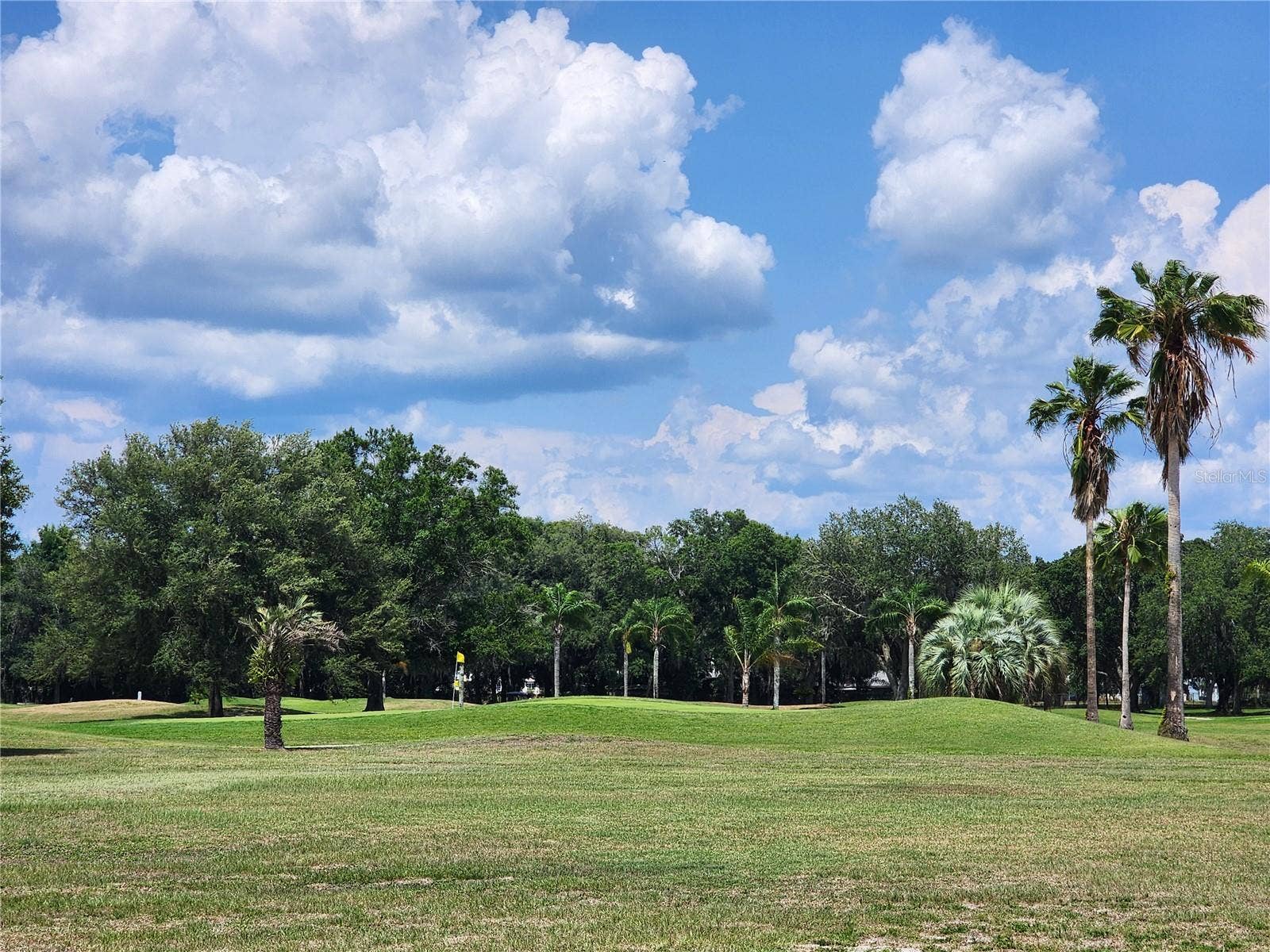 5503 BARBARA STREET, Zephyrhills, FL 33542 5503 BARBARA STREET, Zephyrhills, FL 33542