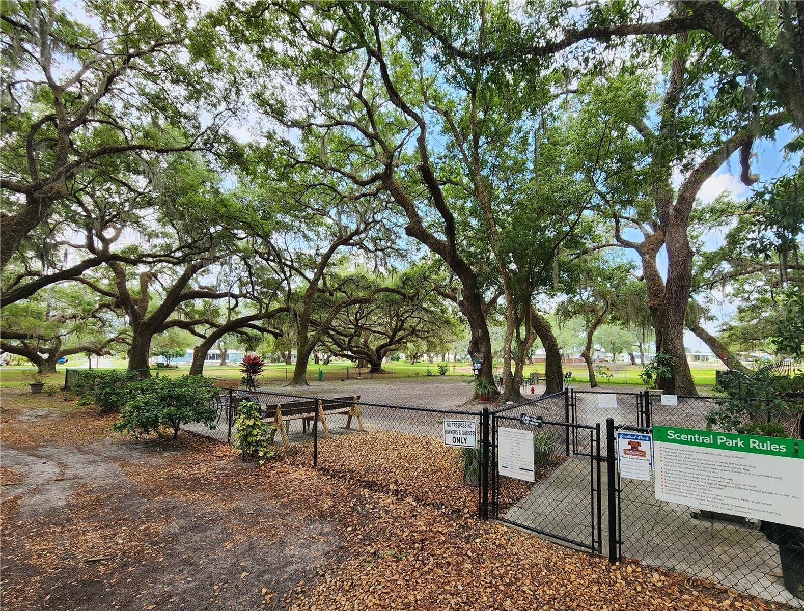 5503 BARBARA STREET, Zephyrhills, FL 33542 5503 BARBARA STREET, Zephyrhills, FL 33542