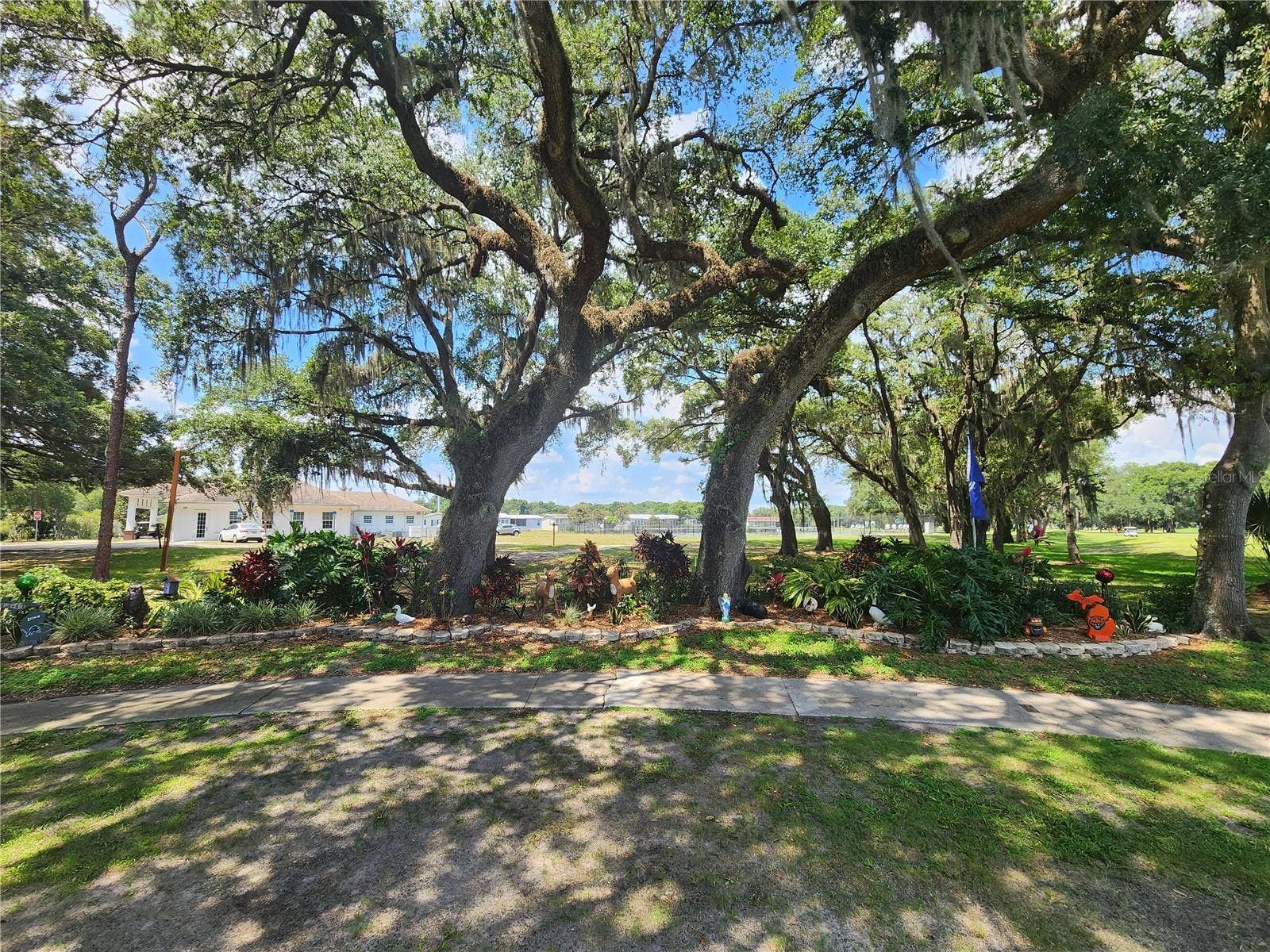 5503 BARBARA STREET, Zephyrhills, FL 33542 5503 BARBARA STREET, Zephyrhills, FL 33542