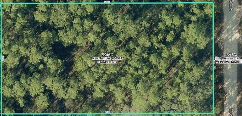 18379 MACEK ROAD, Weeki Wachee, FL 34614