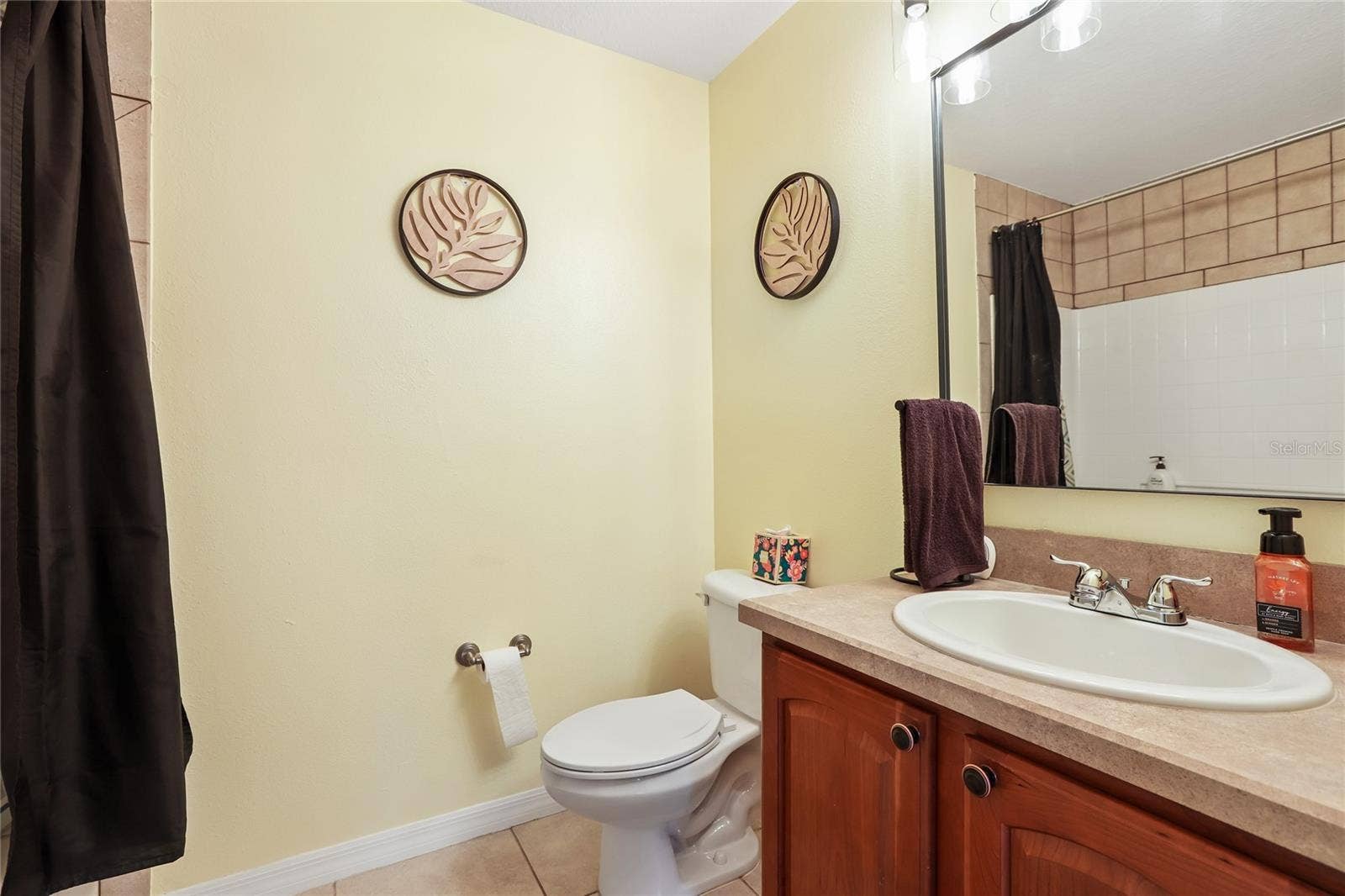 6736 BREEZY PALM DRIVE, Riverview, FL 33578 6736 BREEZY PALM DRIVE, Riverview, FL 33578