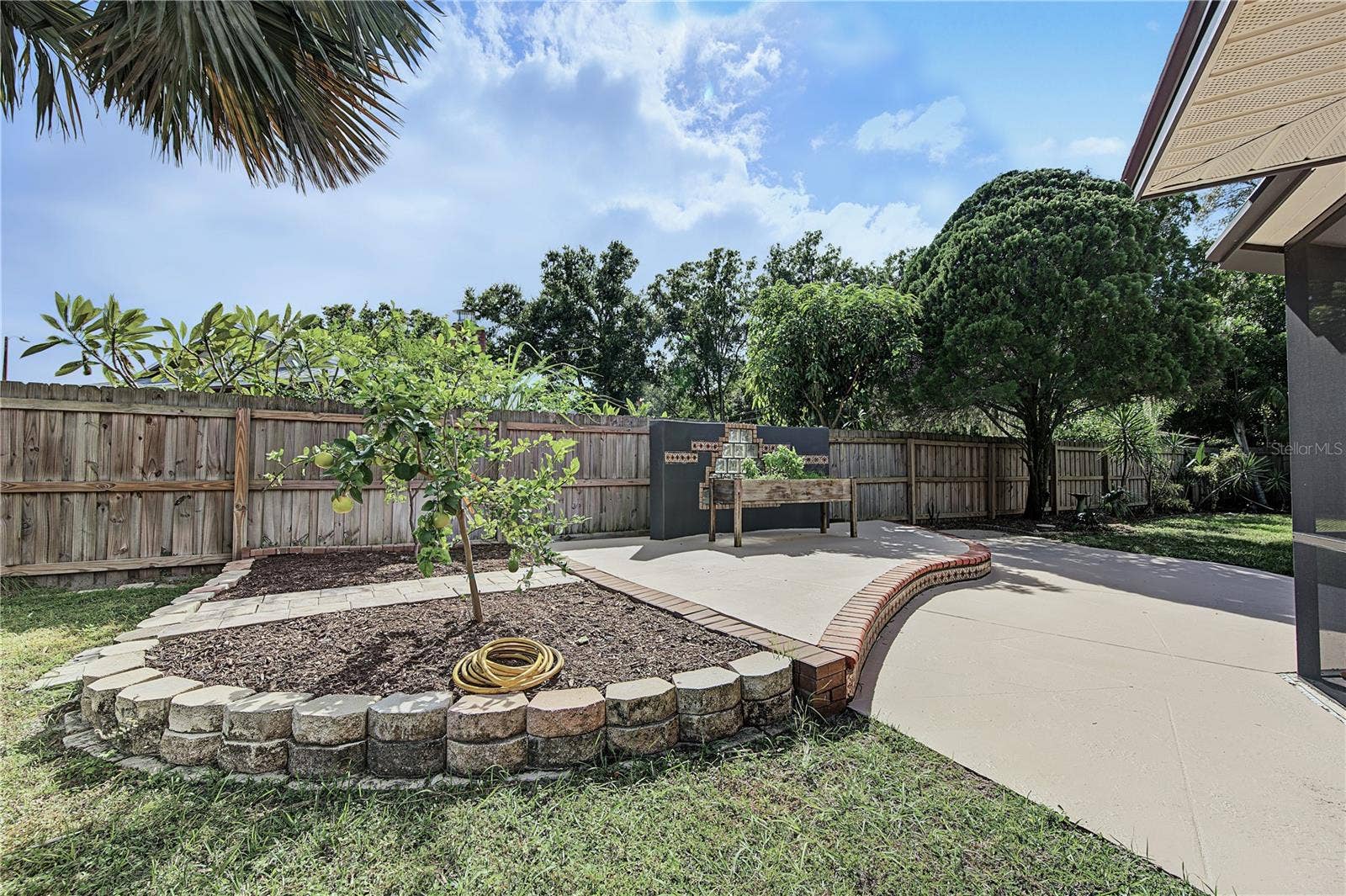 112 PEACOCK CIRCLE, Safety Harbor, FL 34695 38. Grafted Fruit Trees to Help You Get Your Fruits In..