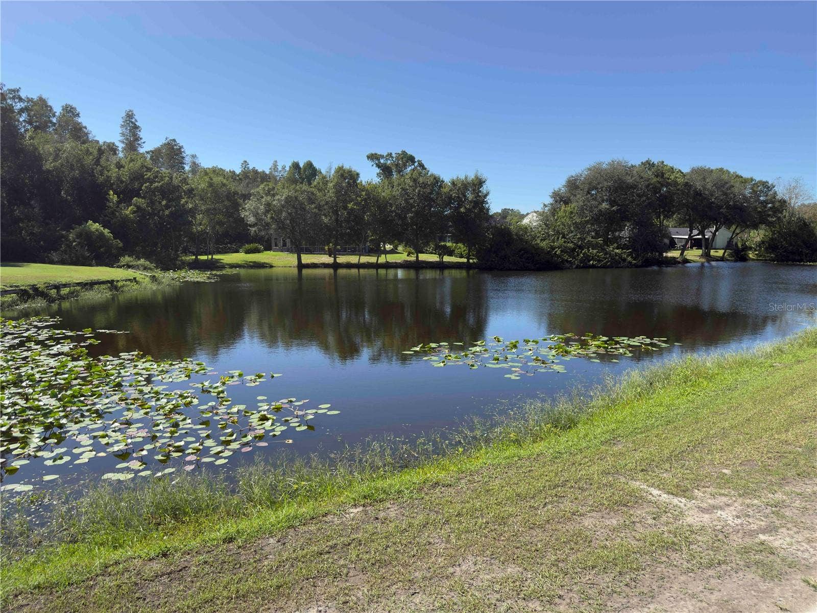 5143 NORTHDALE BOULEVARD, Tampa, FL 33624 5143 NORTHDALE BOULEVARD, Tampa, FL 33624
