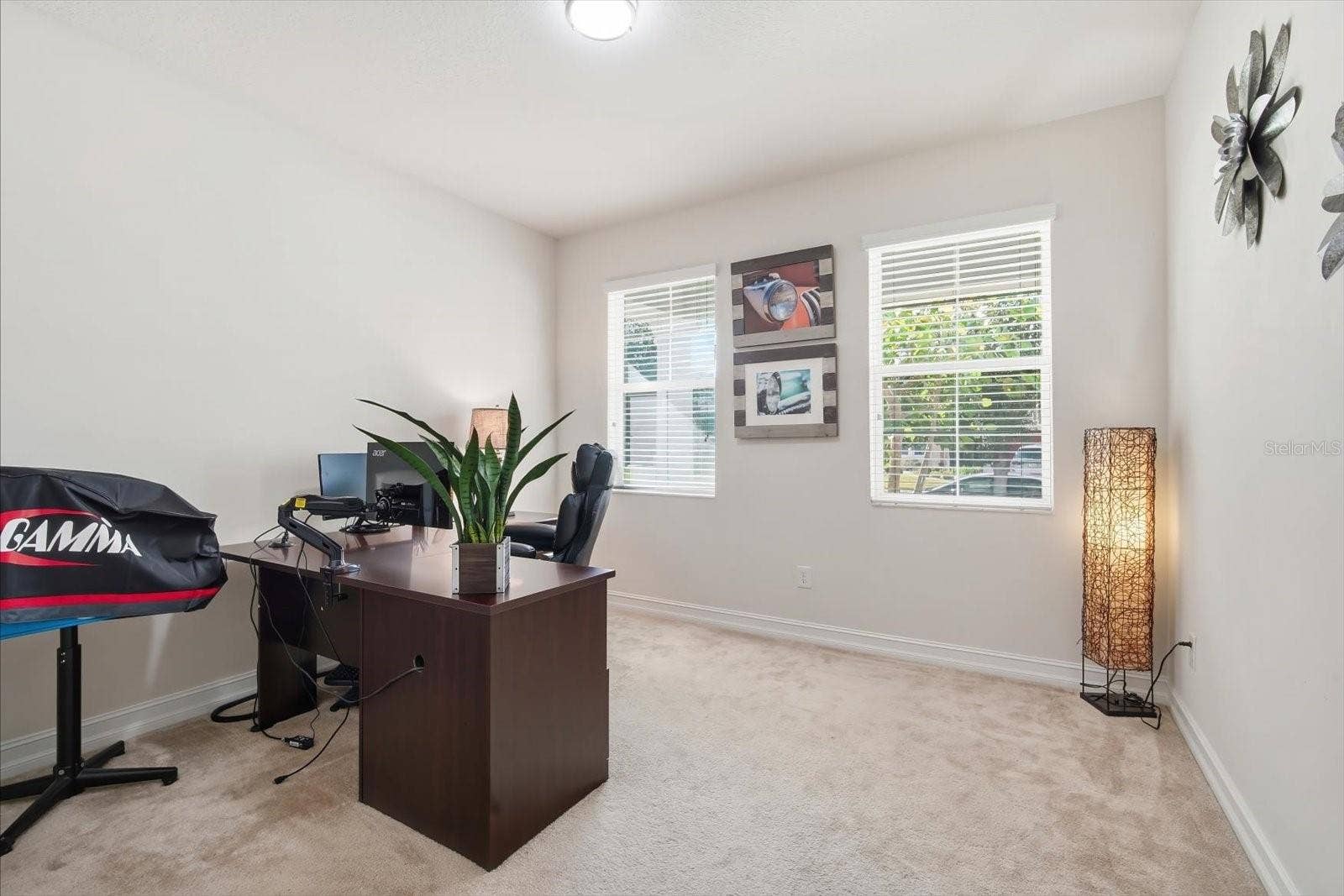 Downstairs Office off of front entrance/foyer