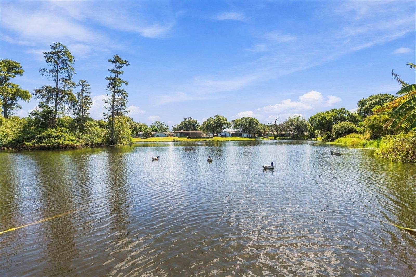1279 S DISSTON AVENUE, Tarpon Springs, FL 34689 1279 S DISSTON AVENUE, Tarpon Springs, FL 34689