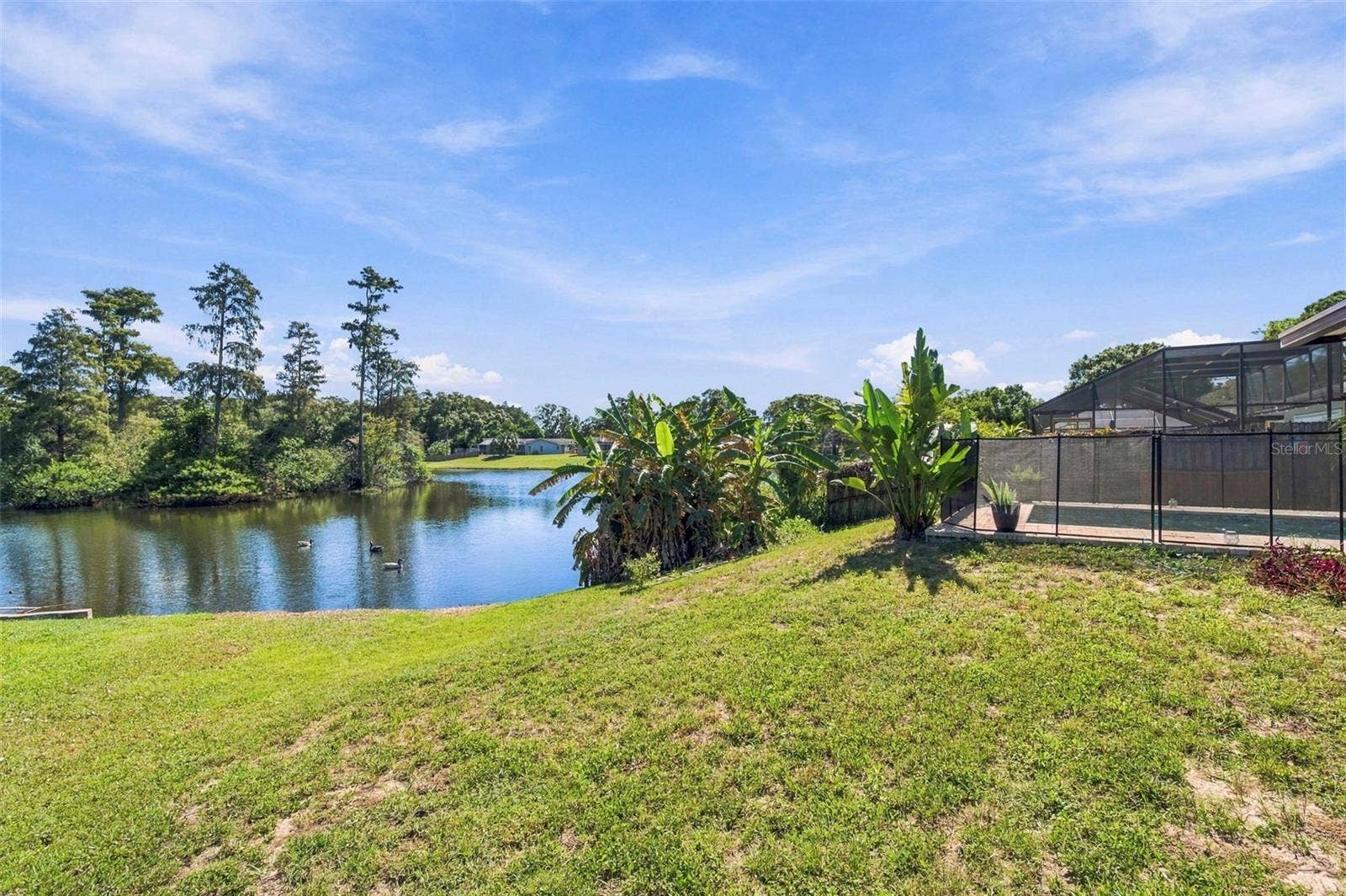 1279 S DISSTON AVENUE, Tarpon Springs, FL 34689 1279 S DISSTON AVENUE, Tarpon Springs, FL 34689