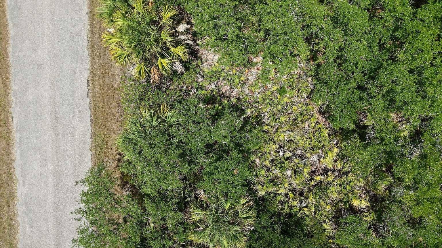 14208 CAMERON AVENUE, Port Charlotte, FL 33953