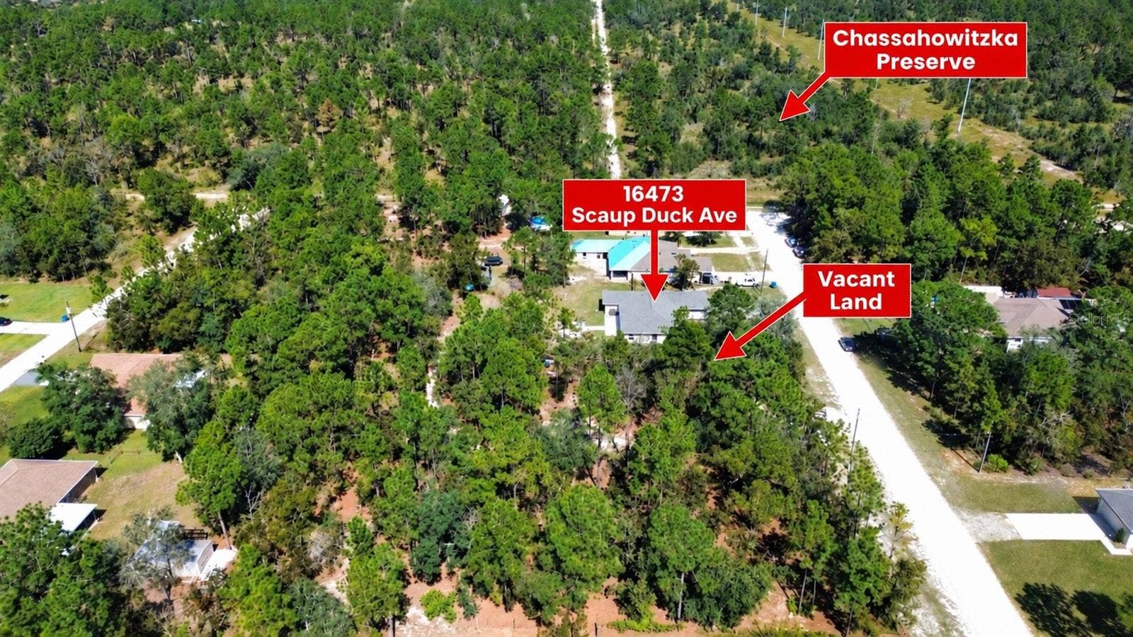 16473 SCAUP DUCK AVENUE, Brooksville, FL 34614 16473 SCAUP DUCK AVENUE, Brooksville, FL 34614