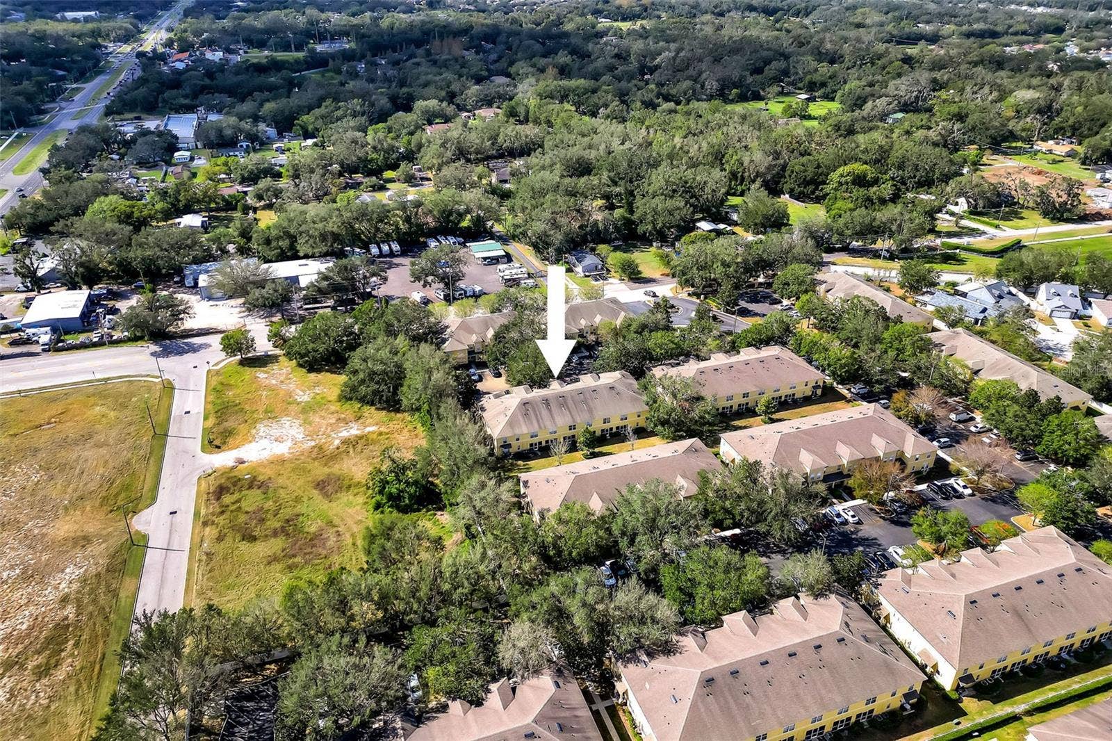 209 DRAW BRIDGE LN, Valrico, FL 33594 OVERHEAD DRONE OF COMMUNITY