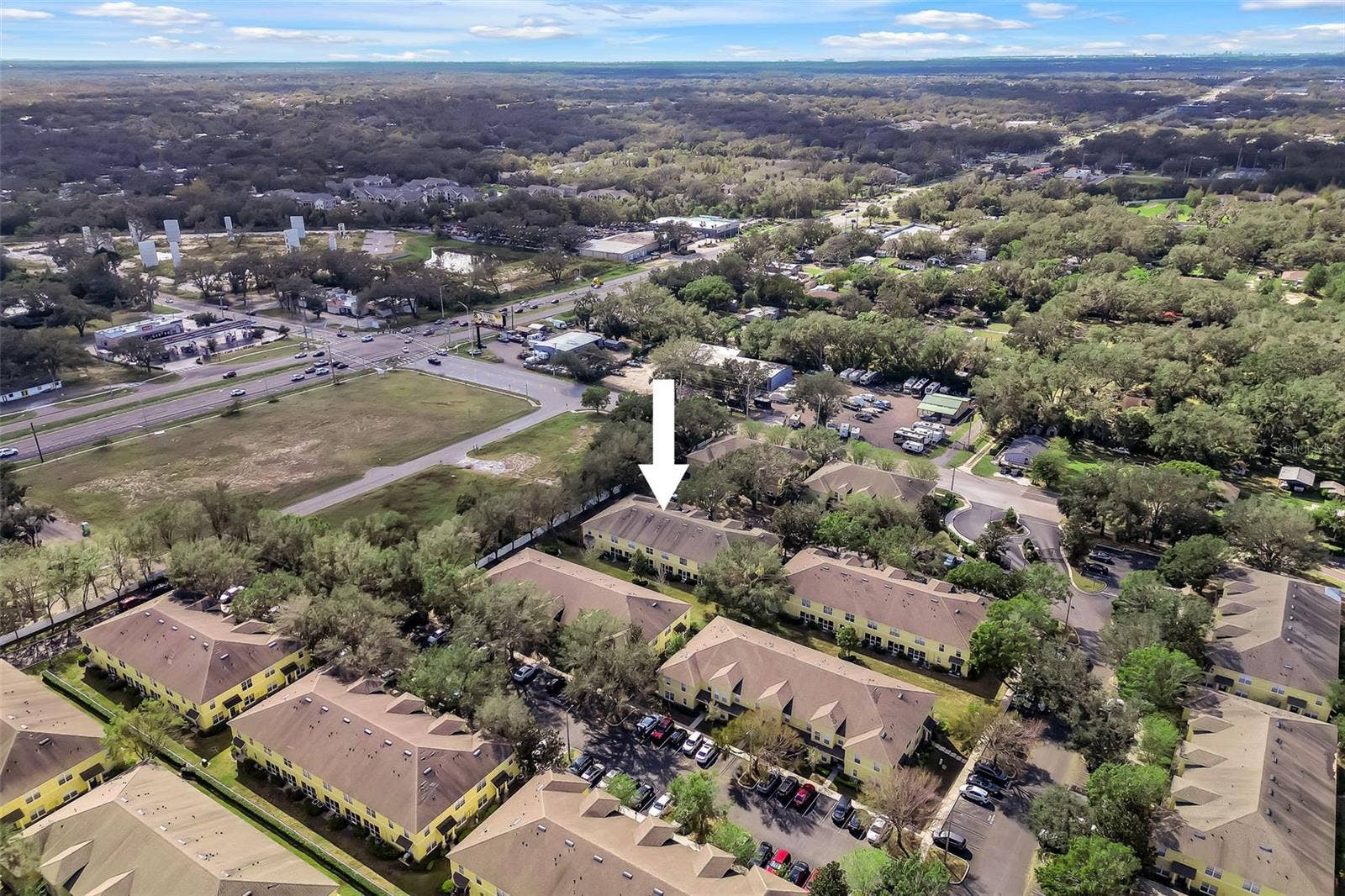 209 DRAW BRIDGE LN, Valrico, FL 33594 OVERHEAD DRONE OF COMMUNITY