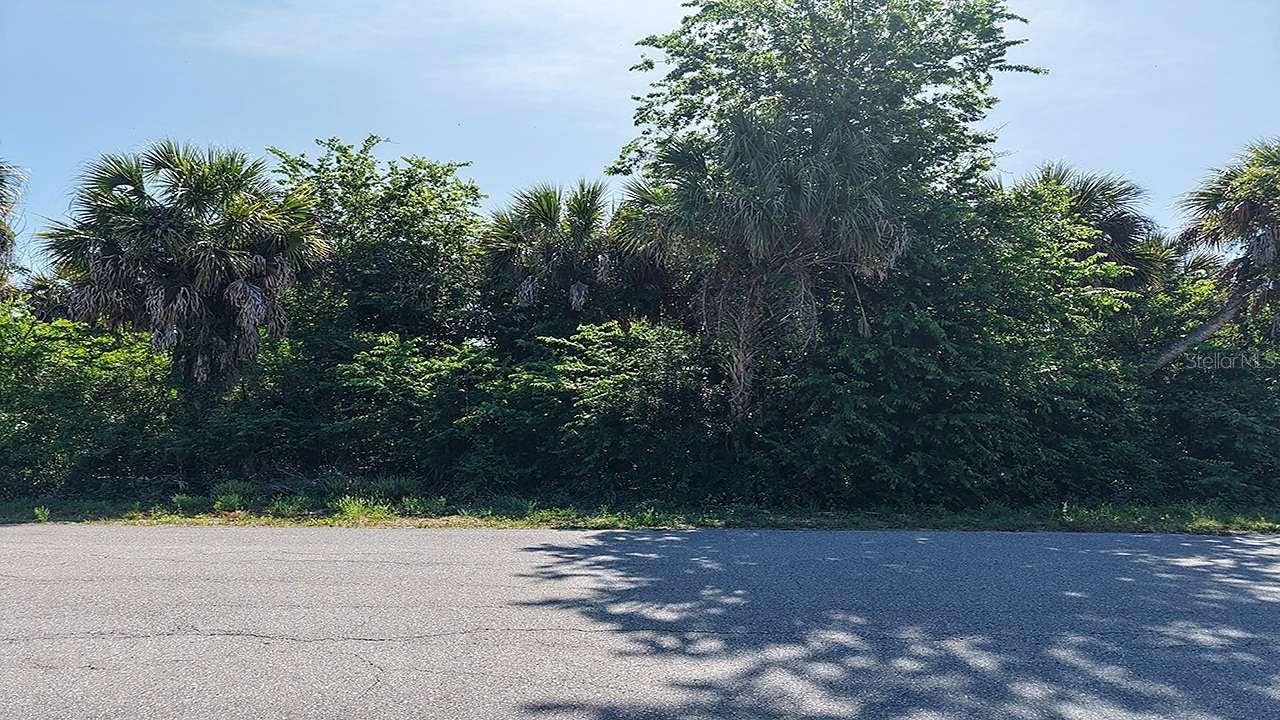 60 DENVER DRIVE, Port Charlotte, FL 33954 Street-level view of the lot.