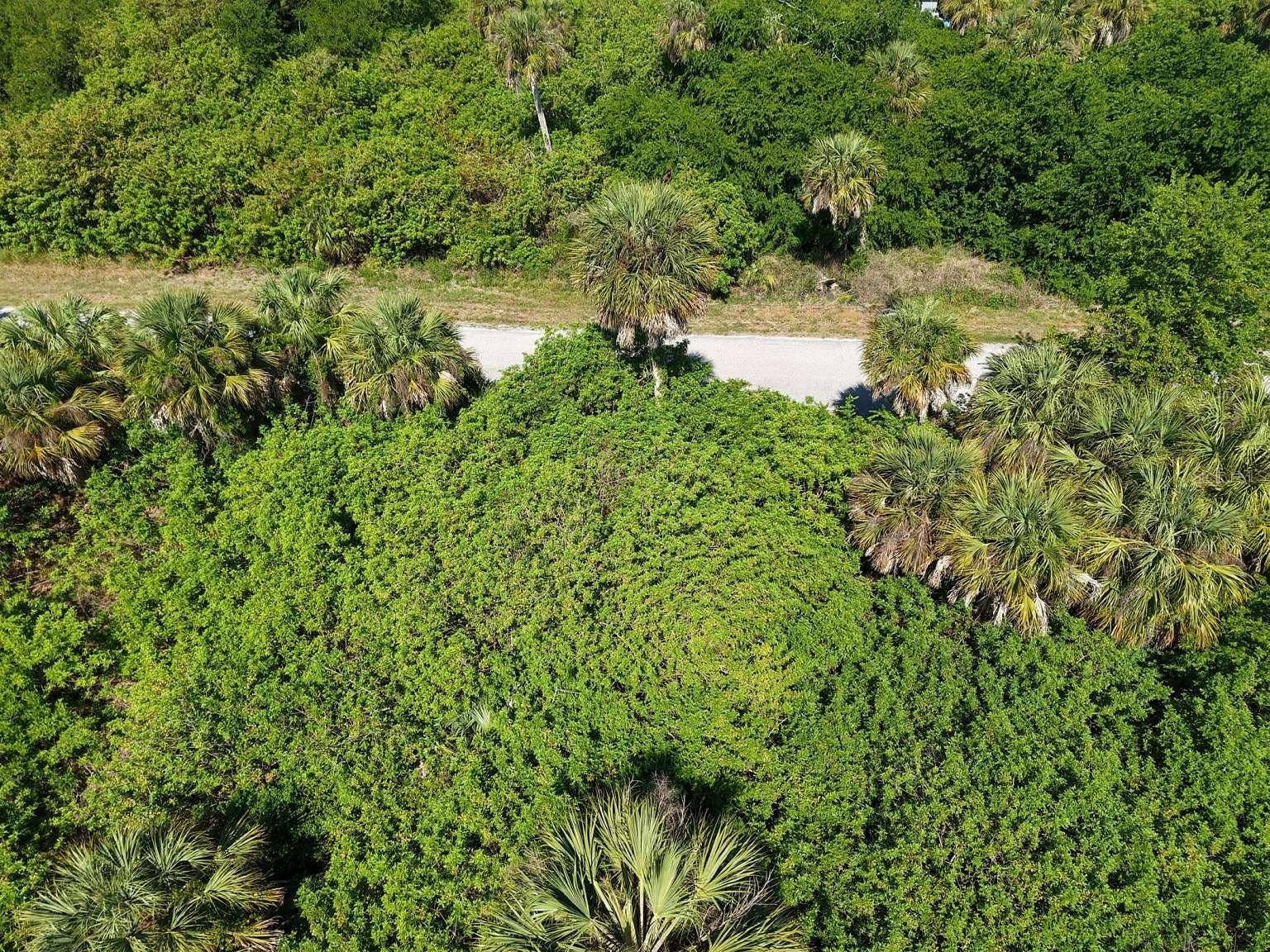 60 DENVER DRIVE, Port Charlotte, FL 33954 Aerial view of the lot and road.