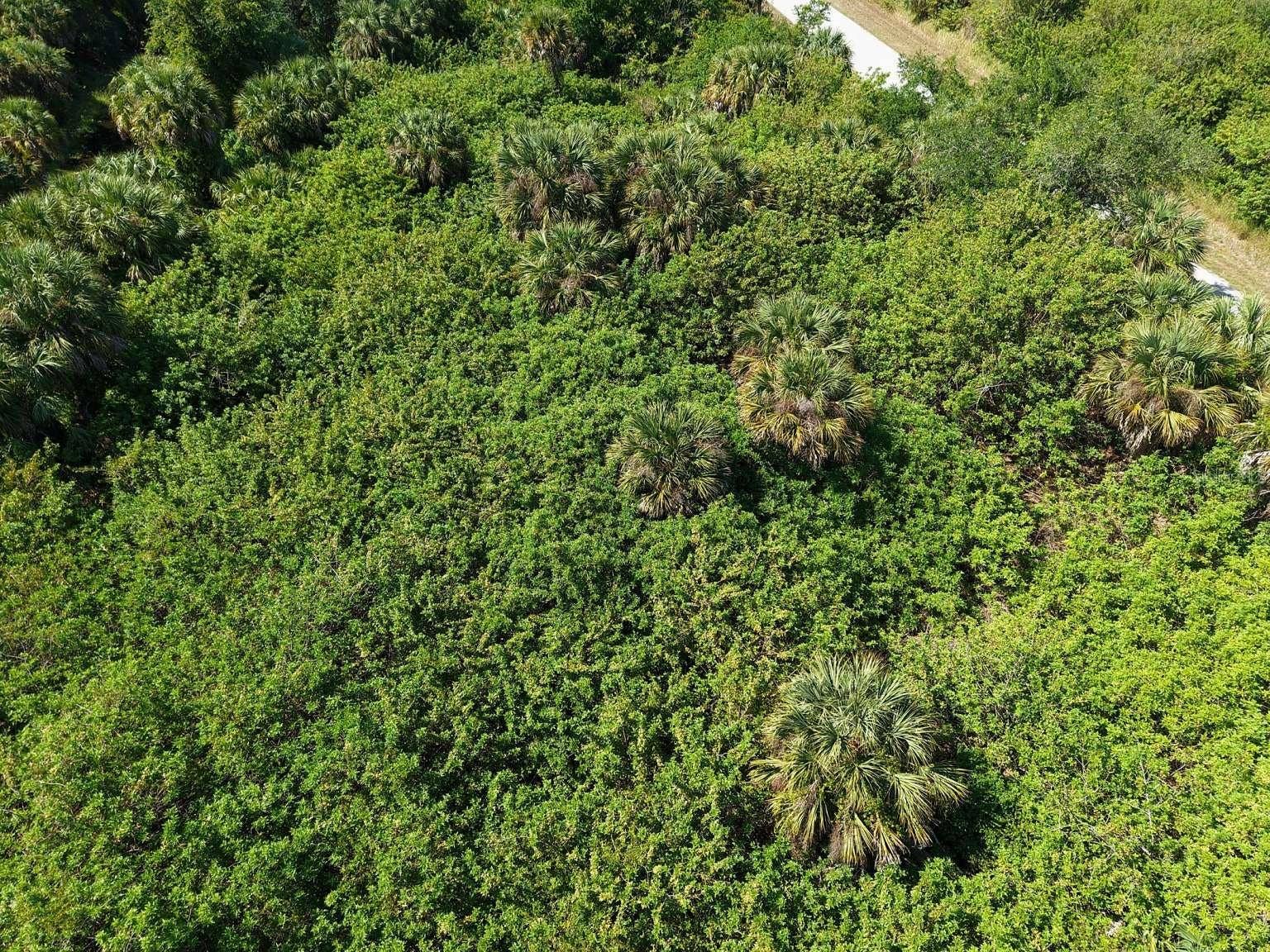 60 DENVER DRIVE, Port Charlotte, FL 33954 Aerial view of the lot vegetation.