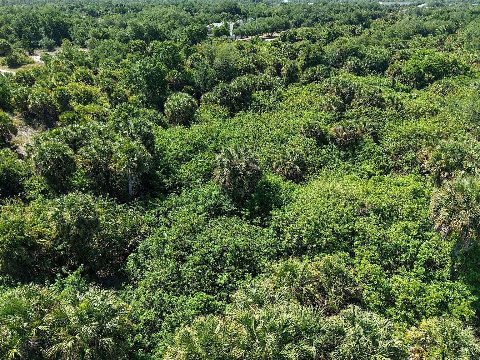60 DENVER DRIVE, Port Charlotte, FL 33954 Aerial view of the lot and surrounding area.