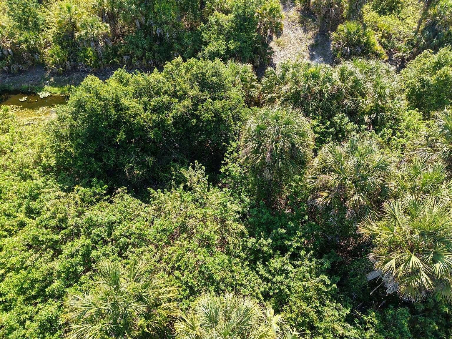 60 DENVER DRIVE, Port Charlotte, FL 33954 View of a narrow water channel; waterbody type and access details are unverified.