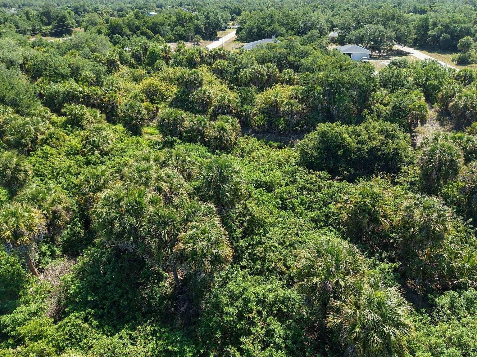60 DENVER DRIVE, Port Charlotte, FL 33954 Aerial view of the lot and surrounding area.