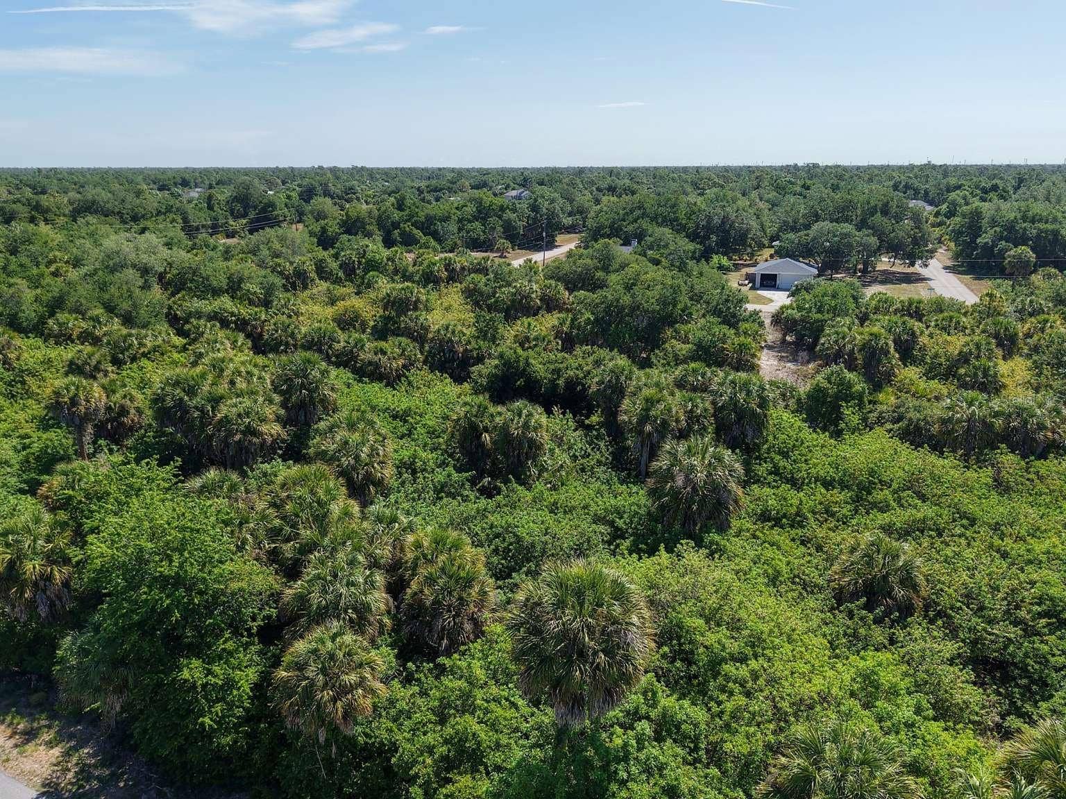 60 DENVER DRIVE, Port Charlotte, FL 33954 Aerial view of the lot and surrounding area.