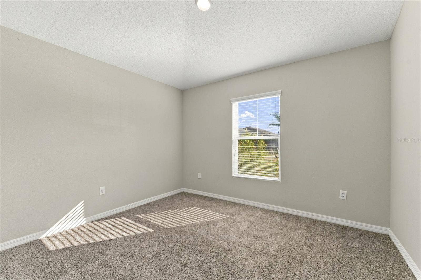 12648 TANNENCREST DRIVE, Riverview, FL 33579 12648 TANNENCREST DRIVE, Riverview, FL 33579