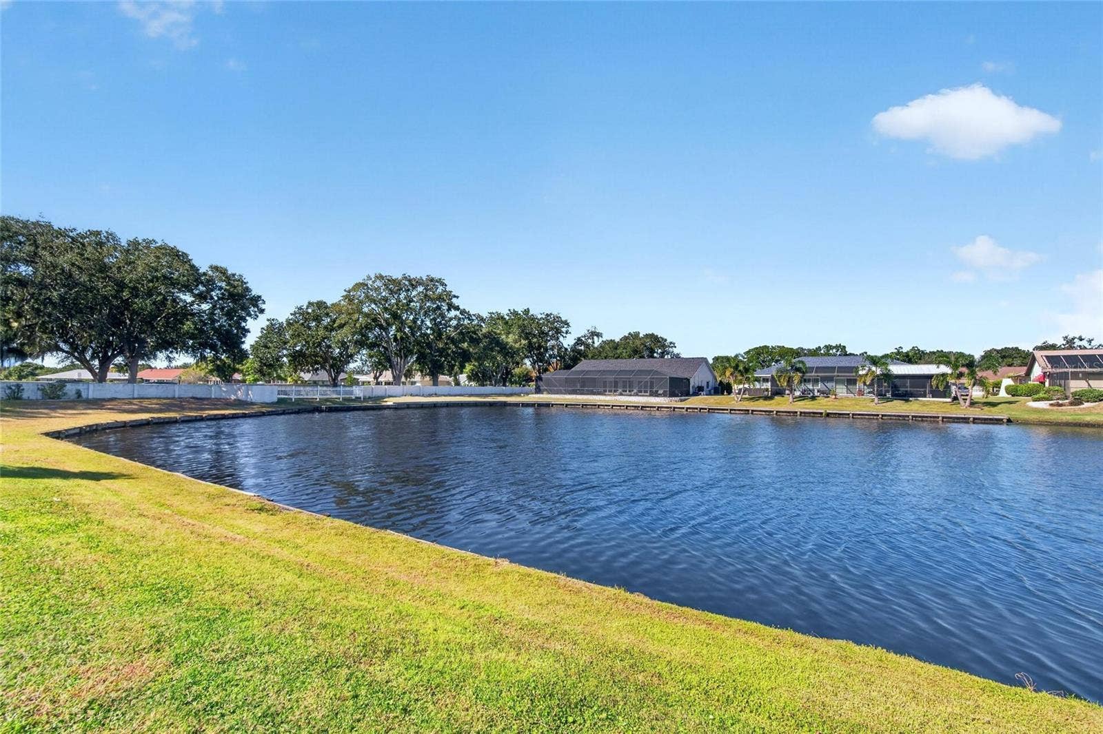 Pond view