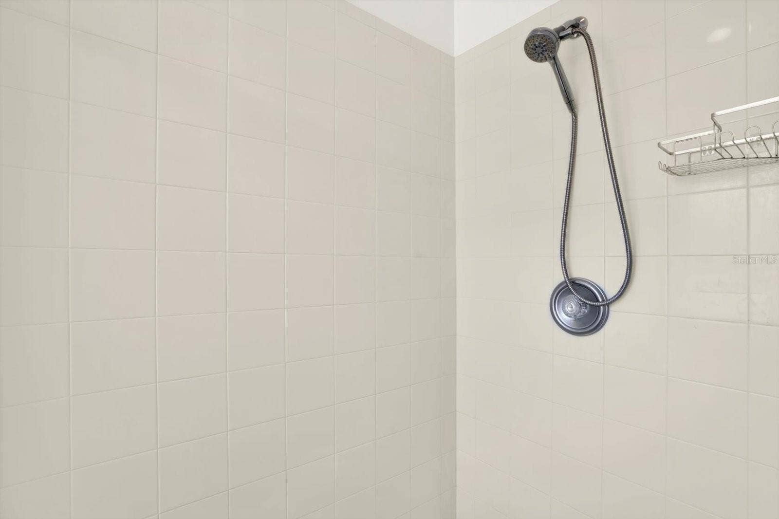 29849 BOYETTE OAKS PLACE, Wesley Chapel, FL 33545